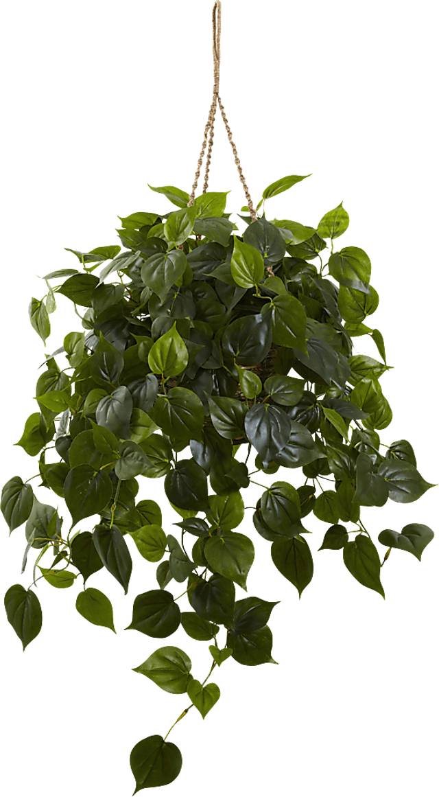 Shalisa Green Philodendron Indoor/Outdoor Silk Plant - Thumbnail - Image 1