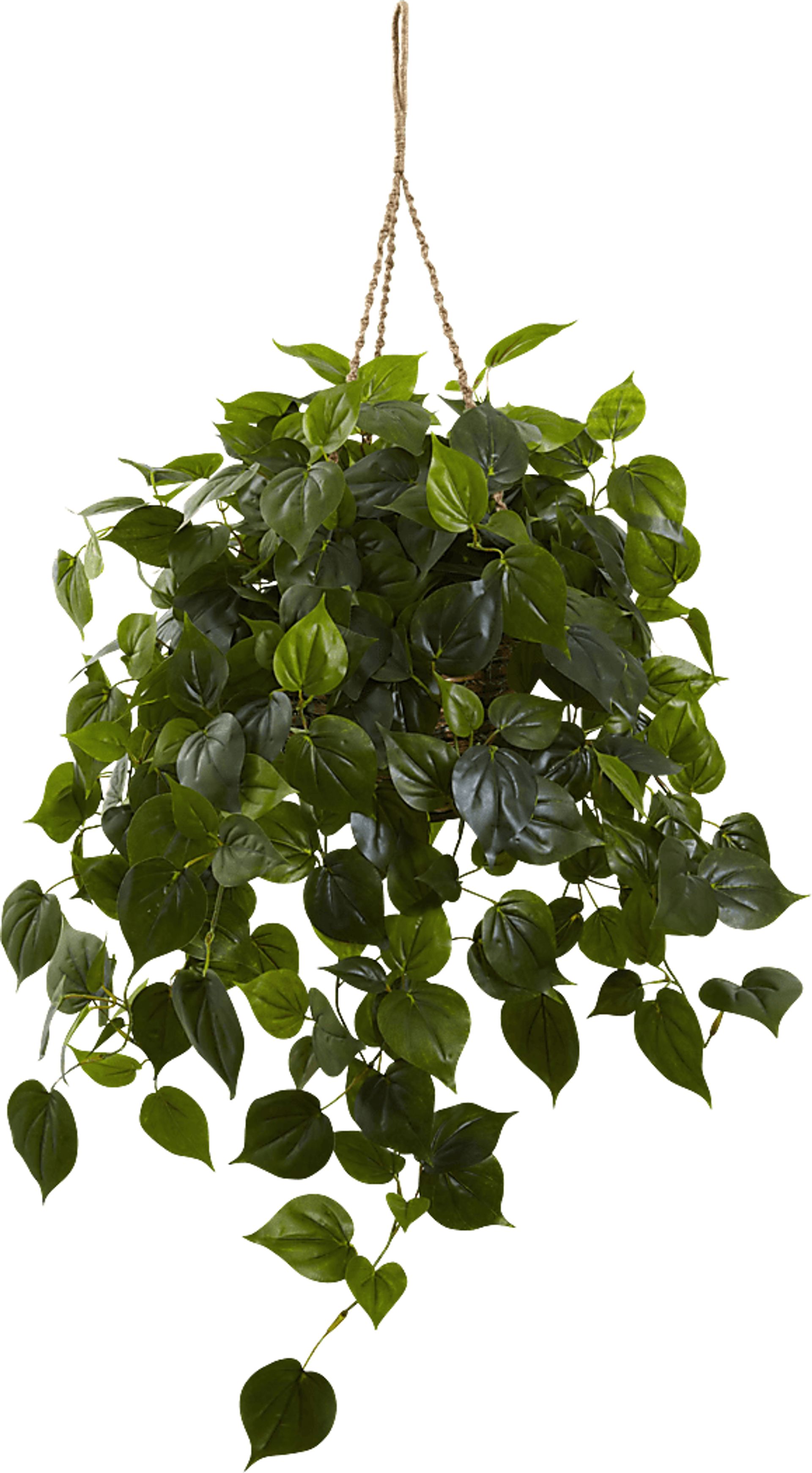 Shalisa Green Philodendron Indoor/Outdoor Silk Plant - Image 1