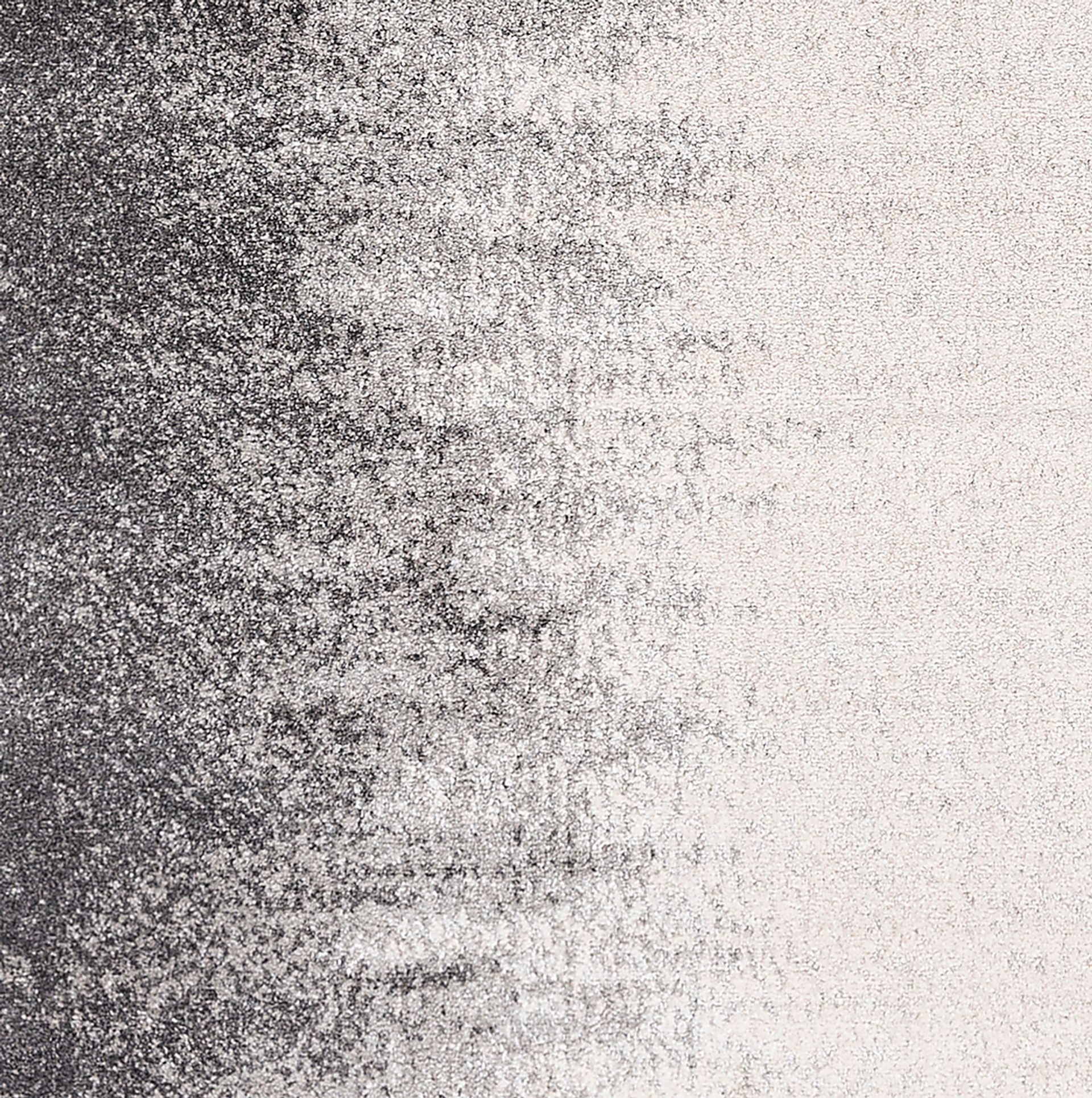 Shameka Gray 6' x 7'9 Rug - Image 3