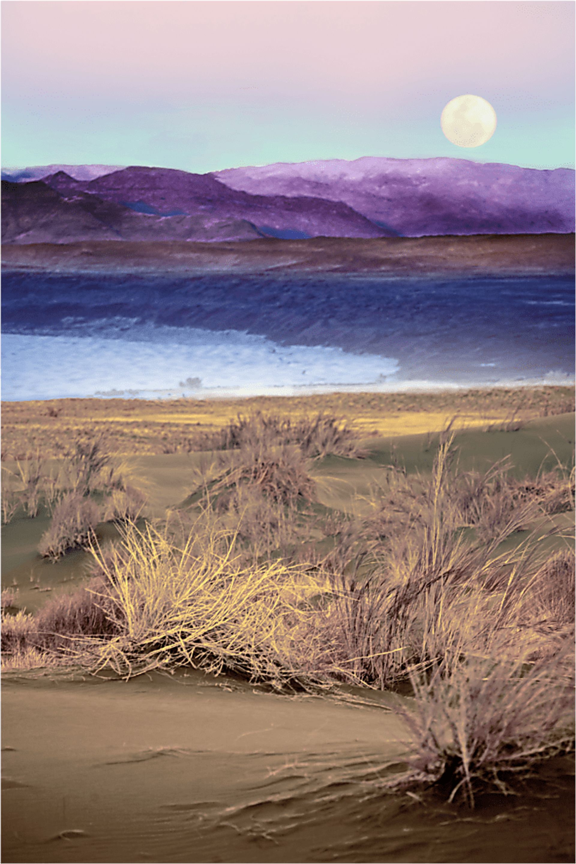 Shawstone Multi Canvas Artwork - Image 1