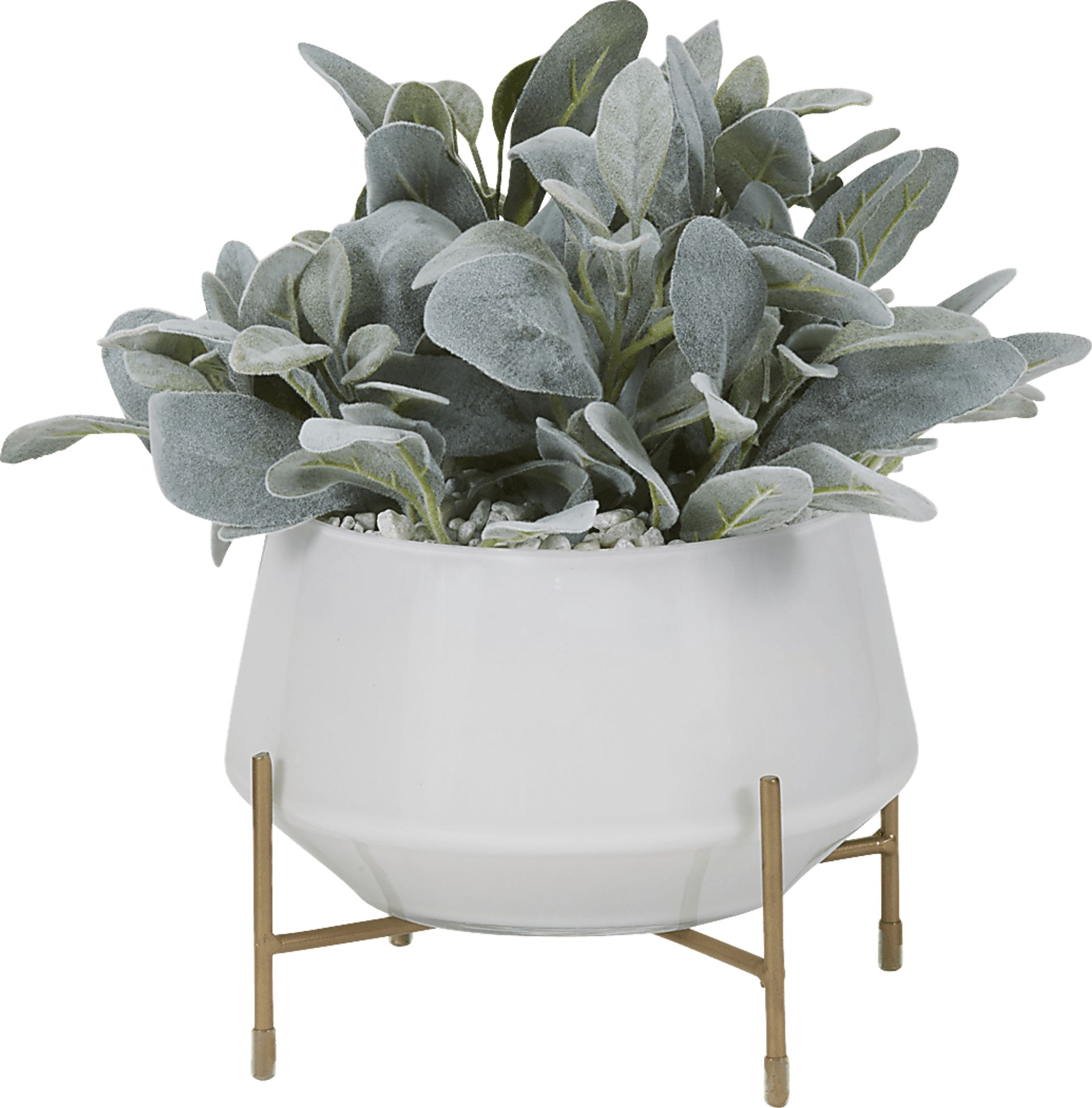 Sherrie Green Lamb's Ear Silk Plant - Image 1