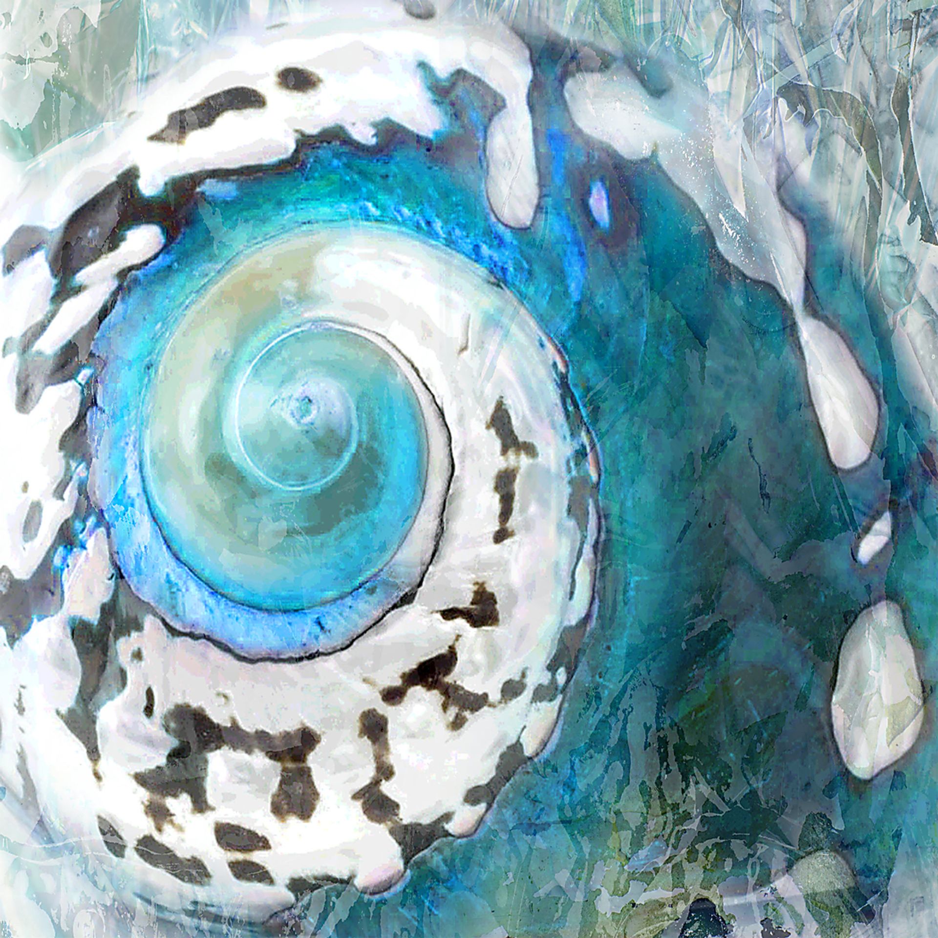 Shinning Shell Blue Artwork - Image 1