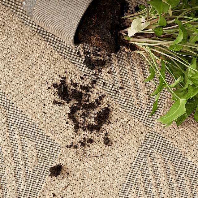 Shorewell Beige 3'11 x 5'11 Rug - Thumbnail - Image 12