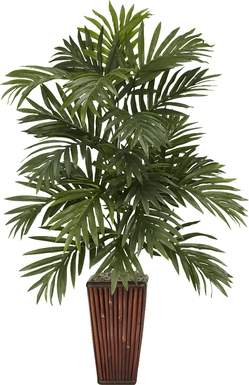 Shyia Green Palm Silk Tree