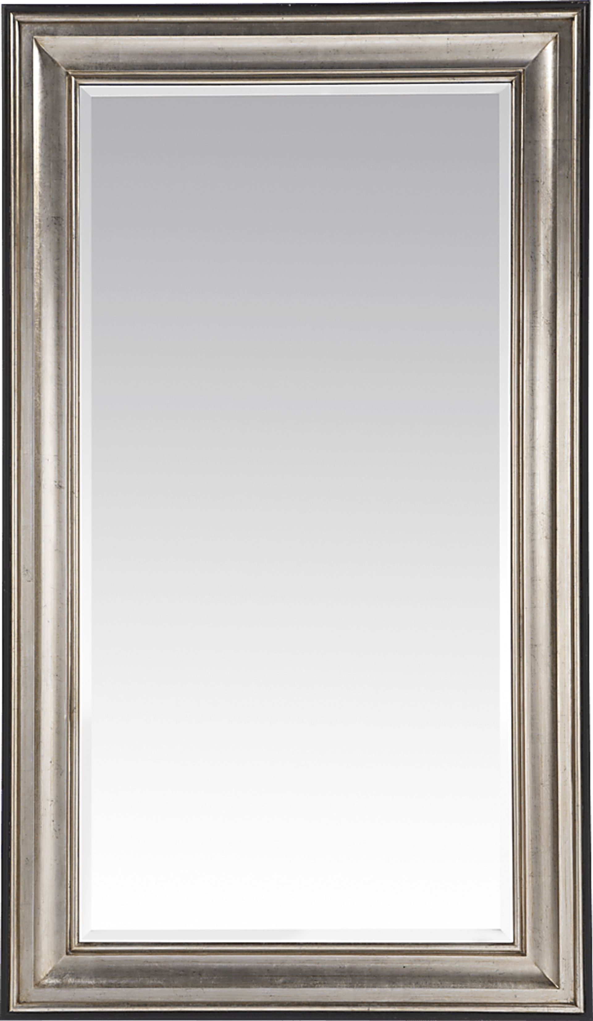 Silver Raven Leaning Mirror - Image 1