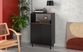 Simpao Black Accent Cabinet