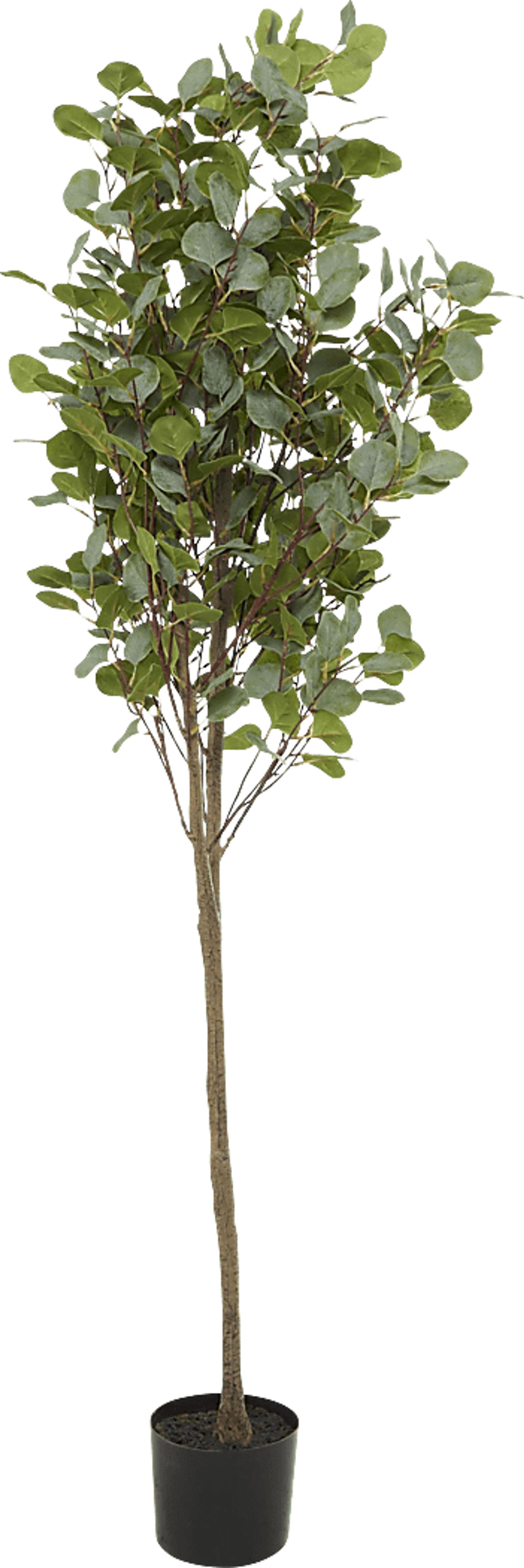 Sinal Green Faux Eucalyptus Indoor/Outdoor Plant - Image 2