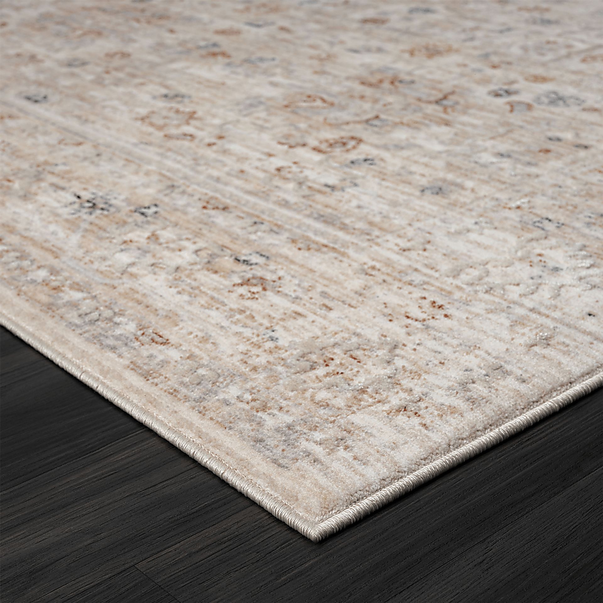 Sminola Beige 4' x 6' Rug - Image 5