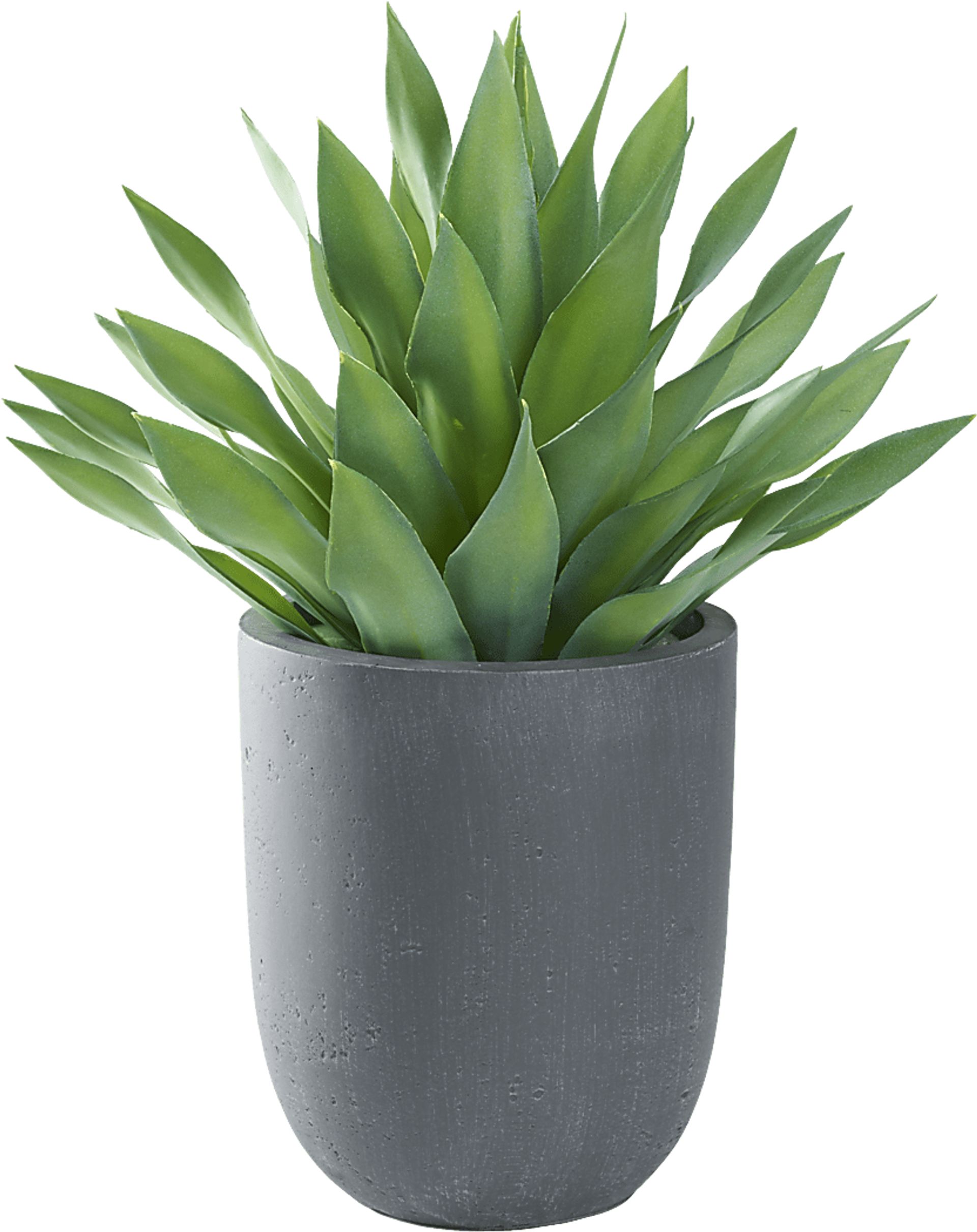 Soloma Green 27 in. Artificial Large Desert Succulent in Gray Planter - Image 1