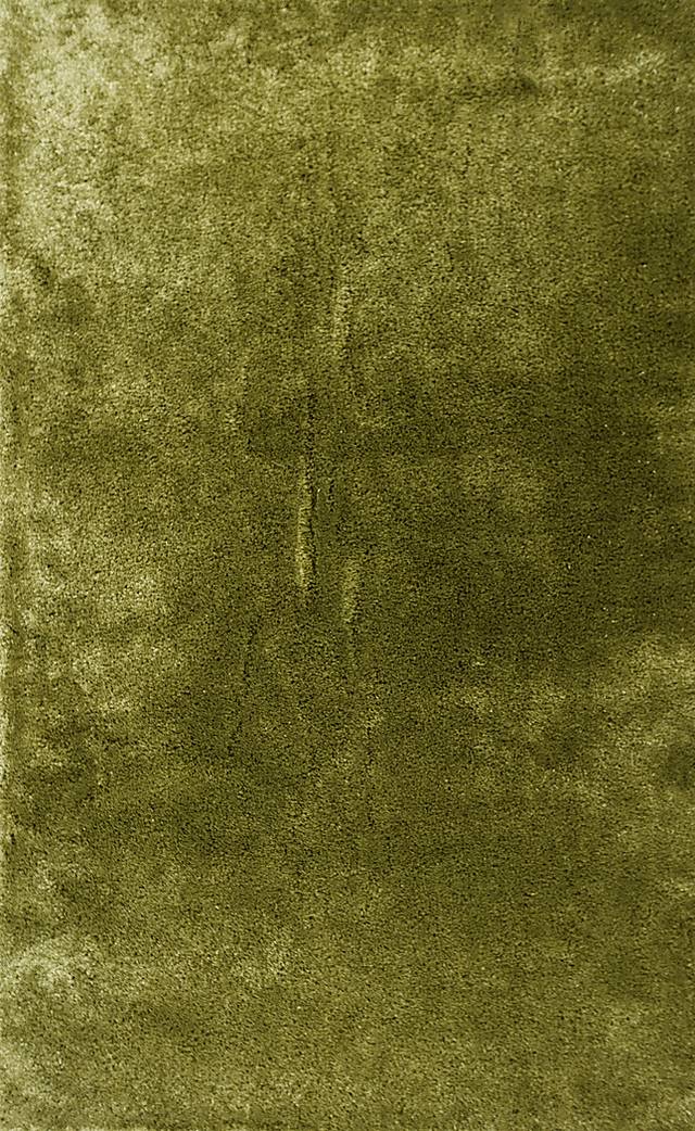 Soren Green 7'6 x 9'6 Indoor/Outdoor Rug - Thumbnail - Image 1