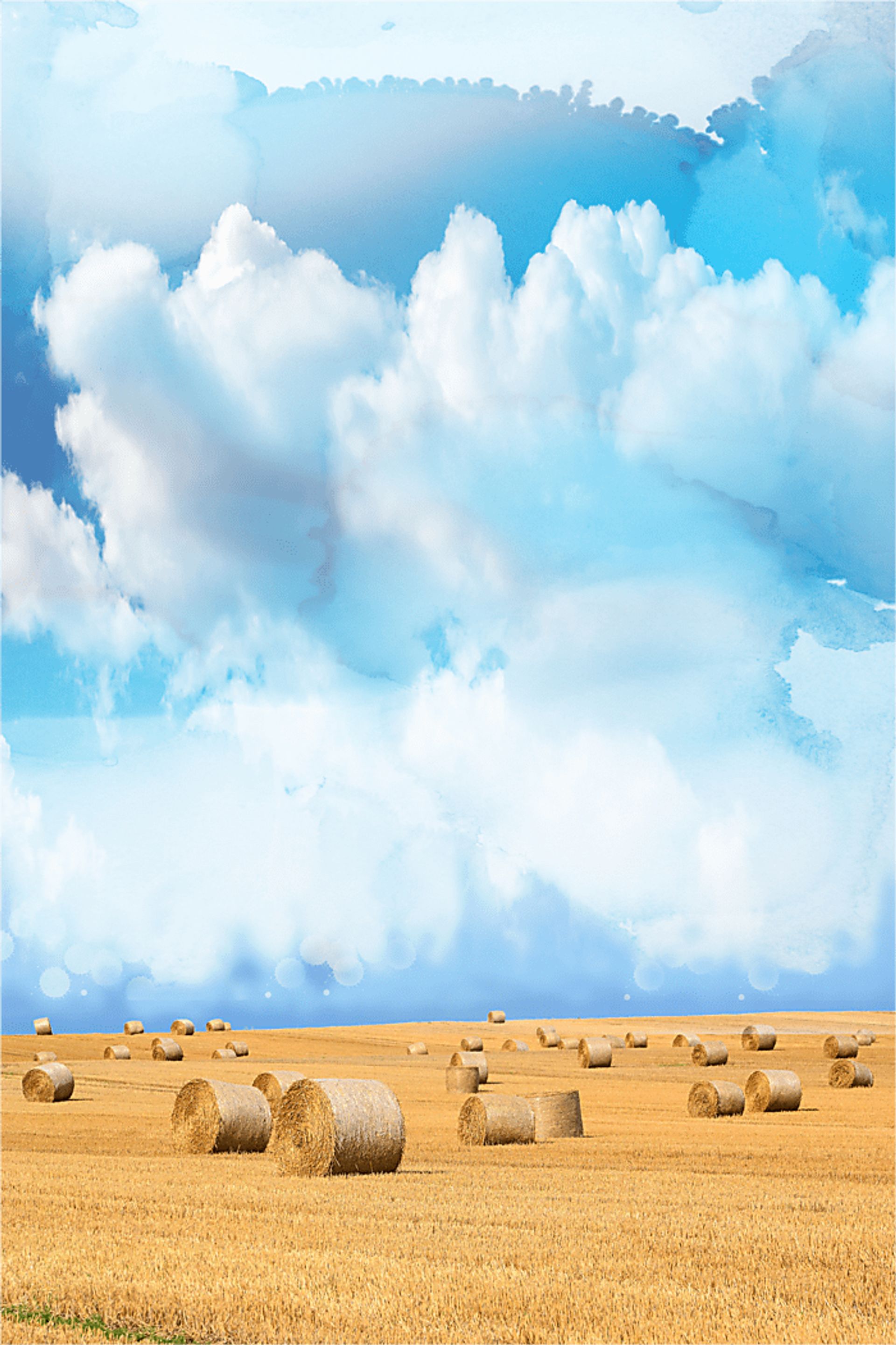 Spadina White Artwork - Image 1