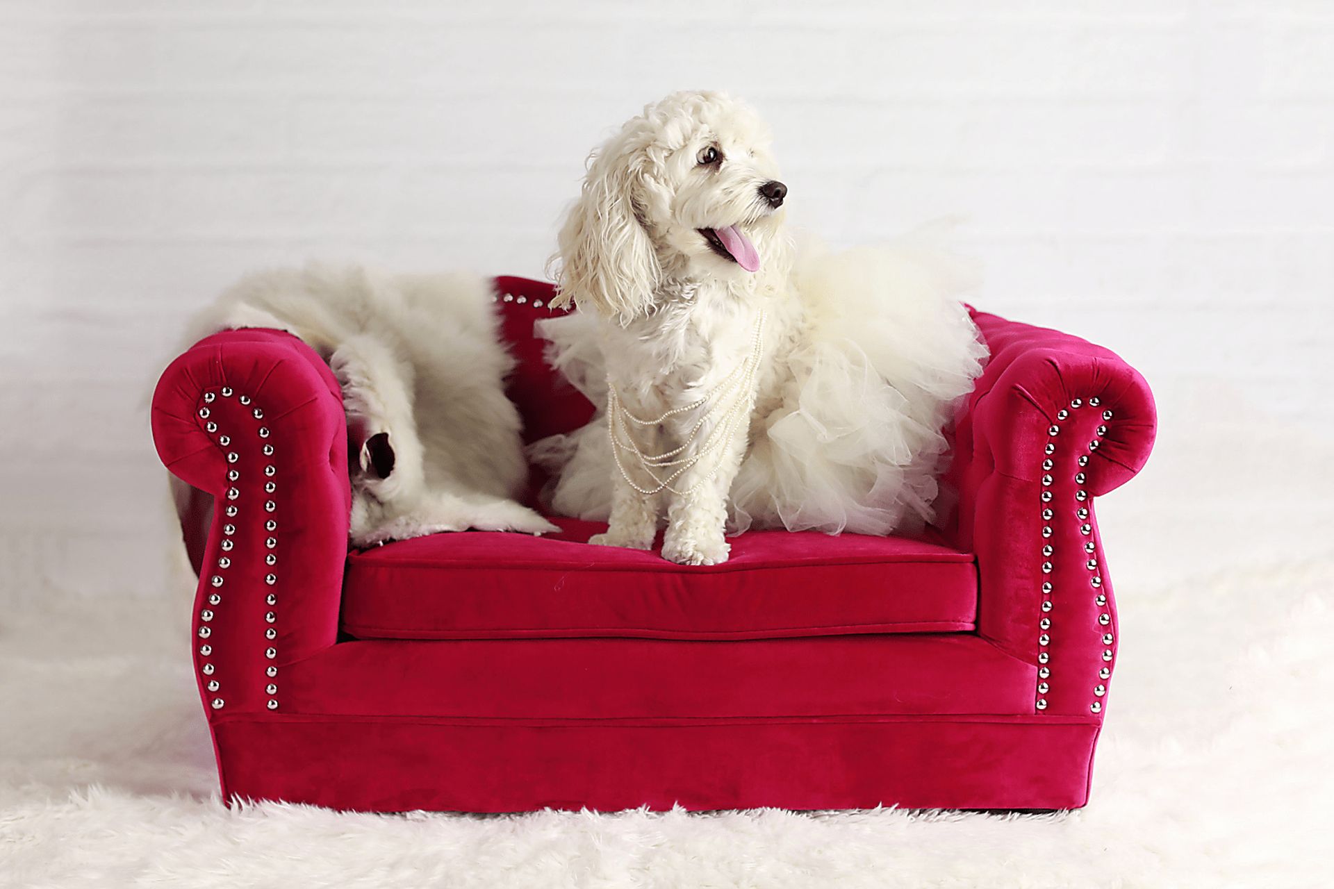 Spaniel Red Pet Bed - Image 3