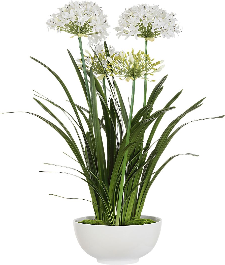 Srua White Silk Flower Arrangement