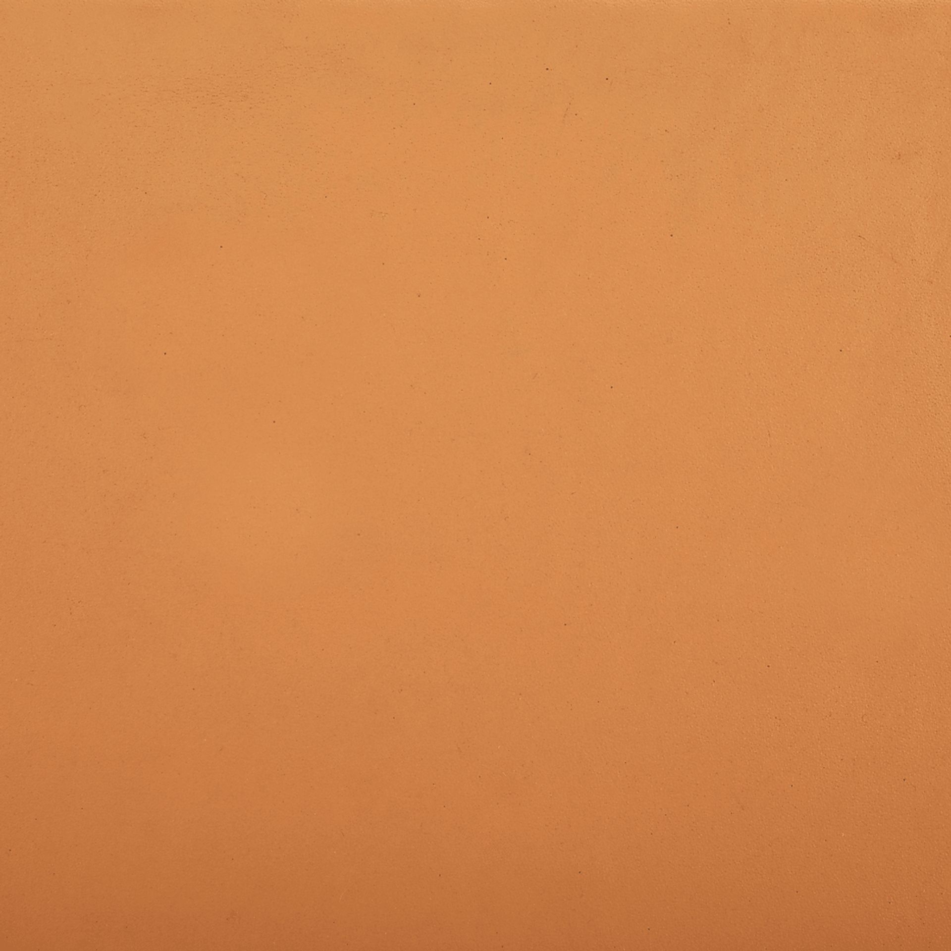 Stetsen Tan Side Chairs, Set of 2 - Image 4