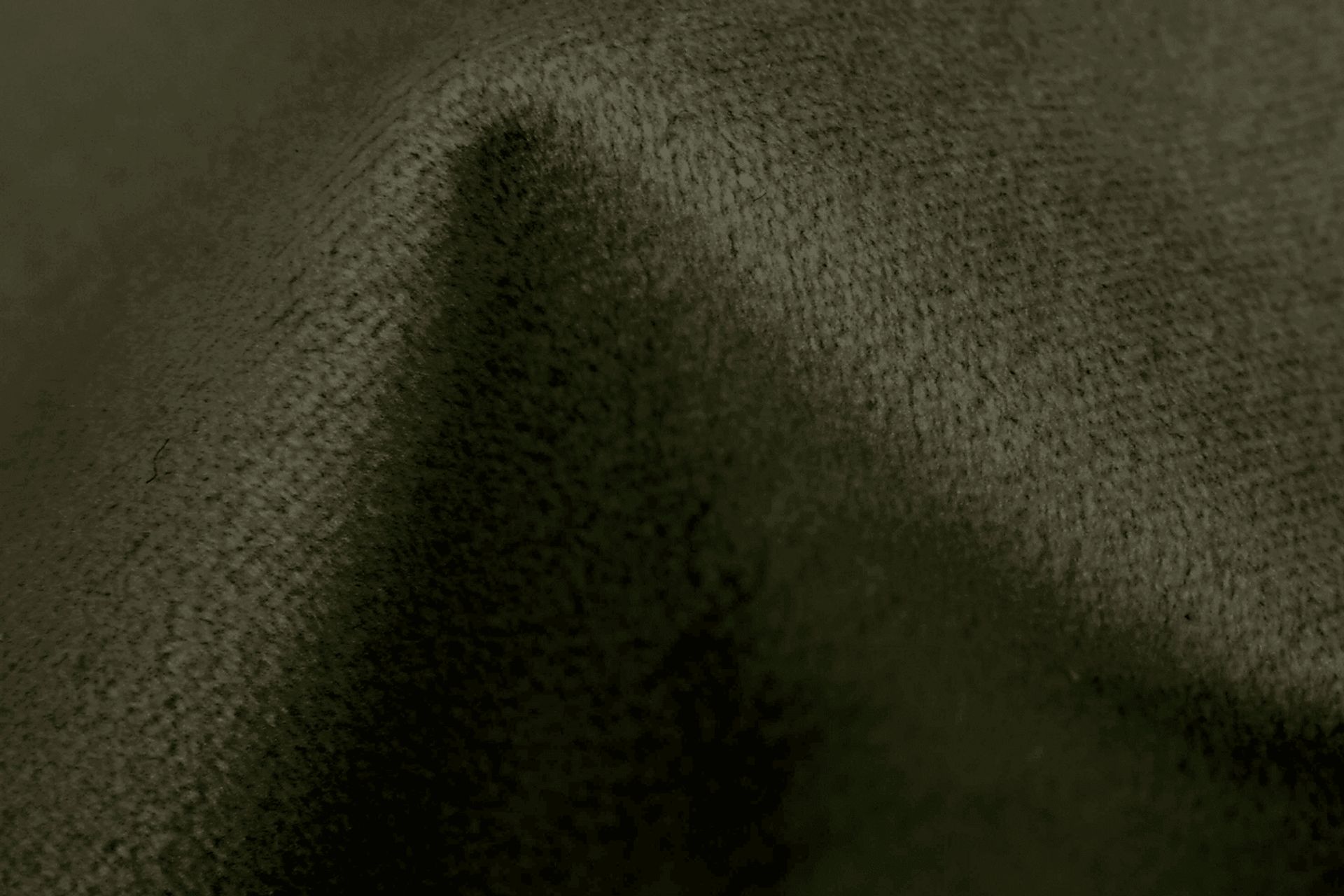 Sweet Plains Green King Upholstered Headboard - Image 5