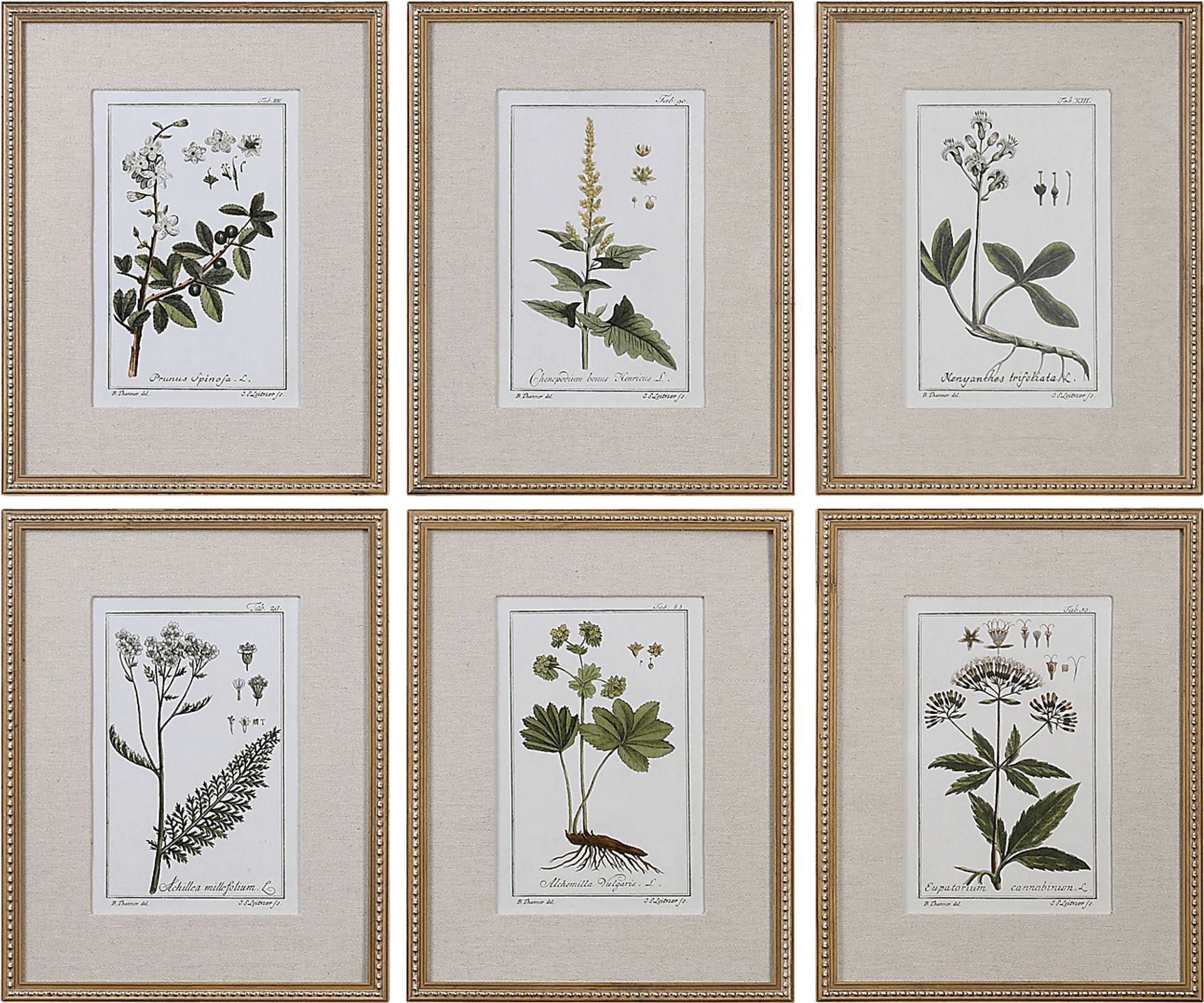 Syane Gold Set of 6 Artwork - Image 1