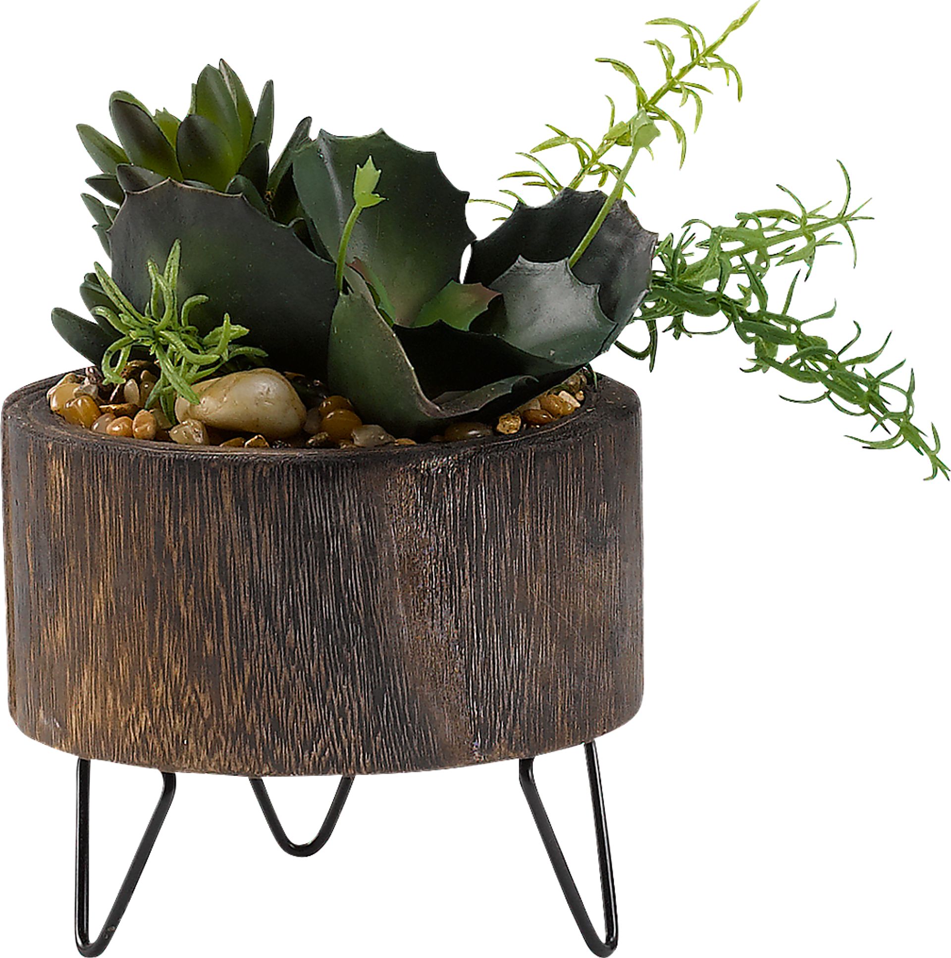 Sylena Green Succulent Silk Plant - Image 1