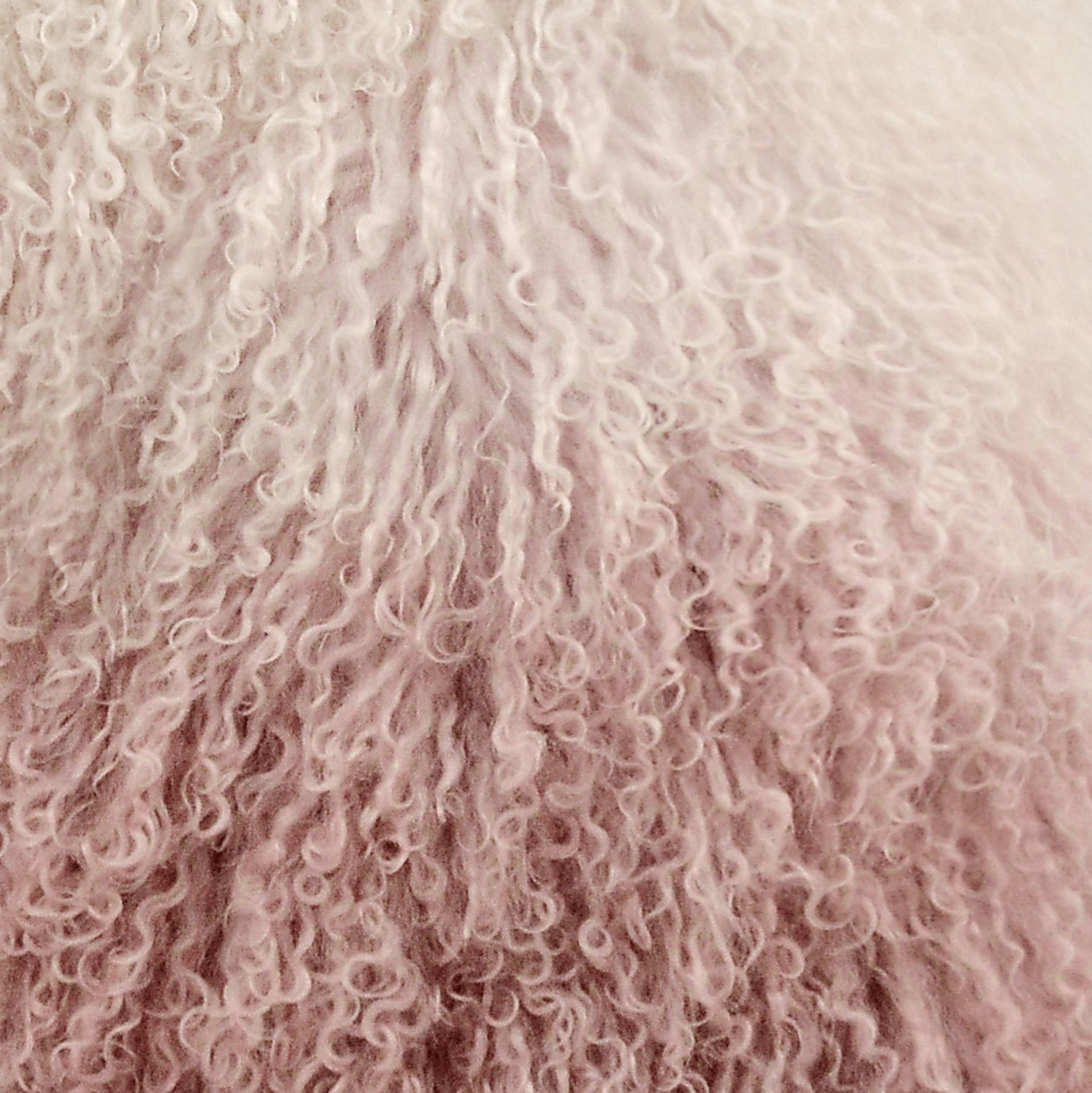 Tabella IV Blush Pillow - Image 2