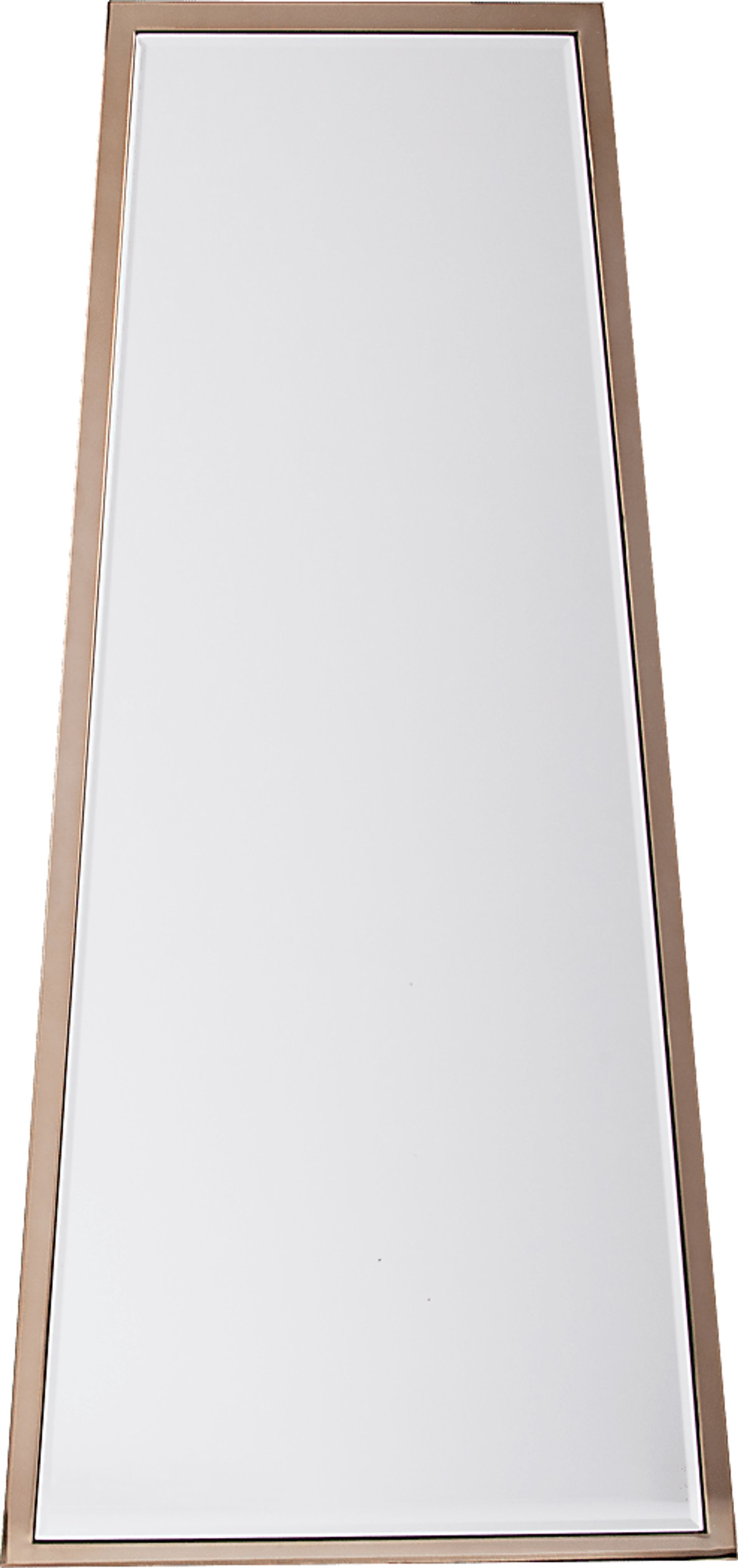 Tailsman Champagne Mirror - Image 1