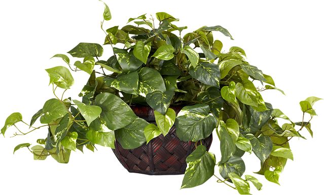 Taleah Green Pothos Silk Plant