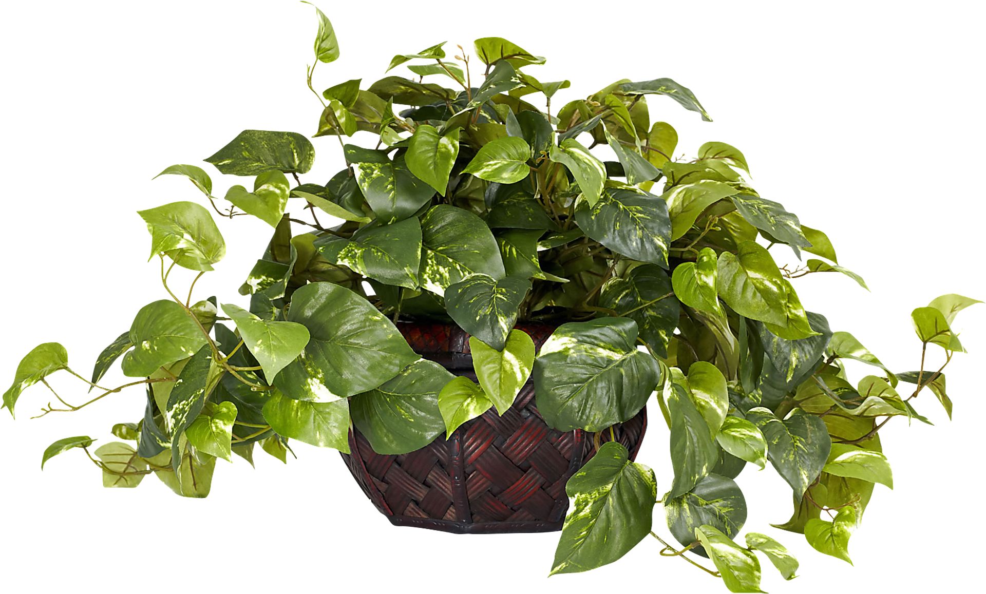 Taleah Green Pothos Silk Plant - Image 1