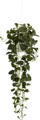 Tamsyn Green Philodendron Silk Plant