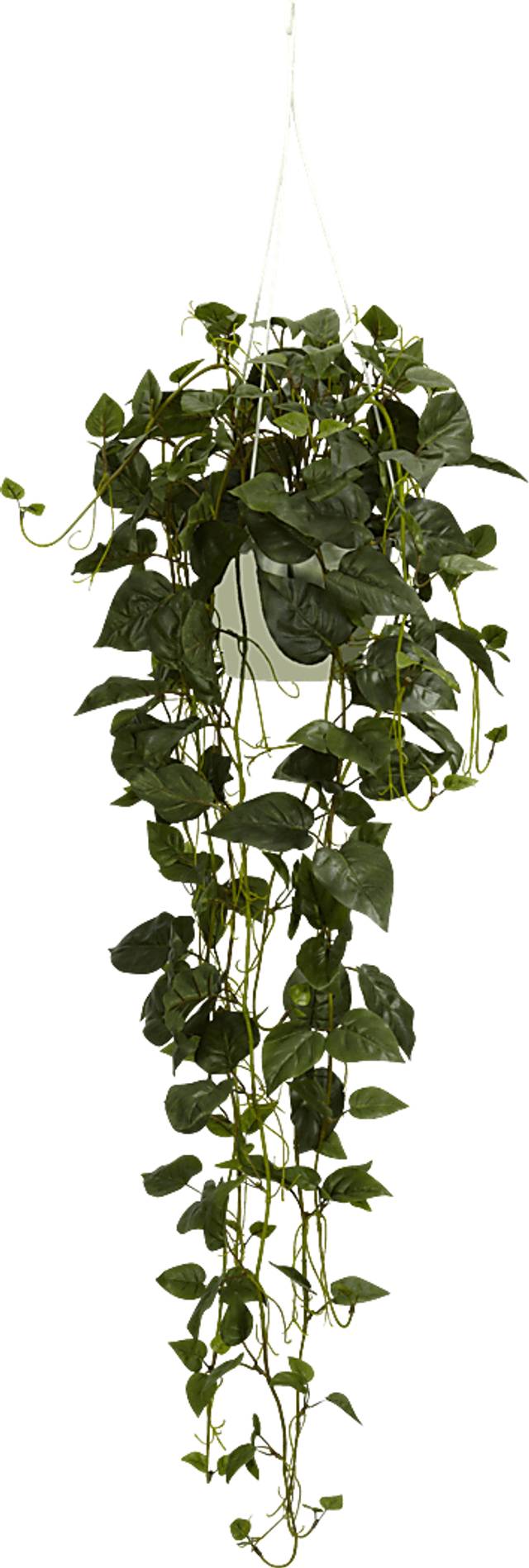 Tamsyn Green Philodendron Silk Plant - Thumbnail - Image 1