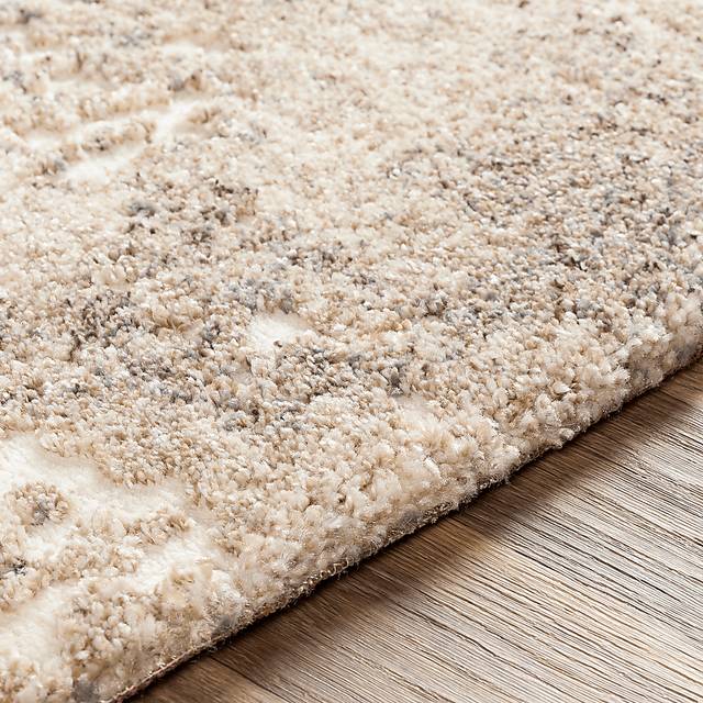 Taormina Beige 8' x 10'2 Rug - Thumbnail - Image 3