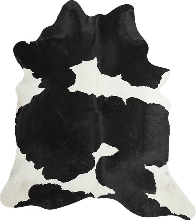 Taymur Black 5' x 6'6 Rug - Thumbnail - Image 1