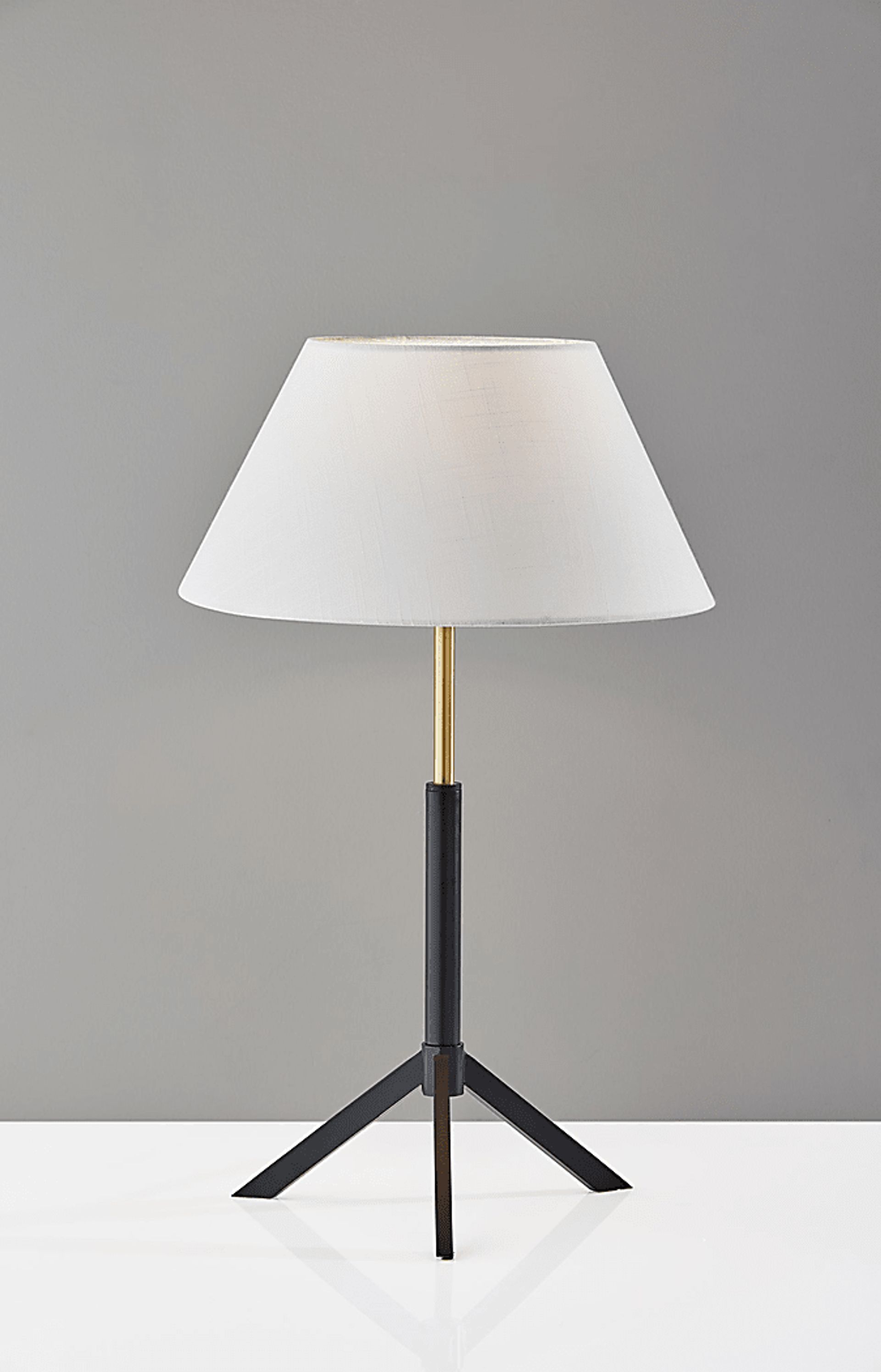 Tekoa Black Lamp - Image 2