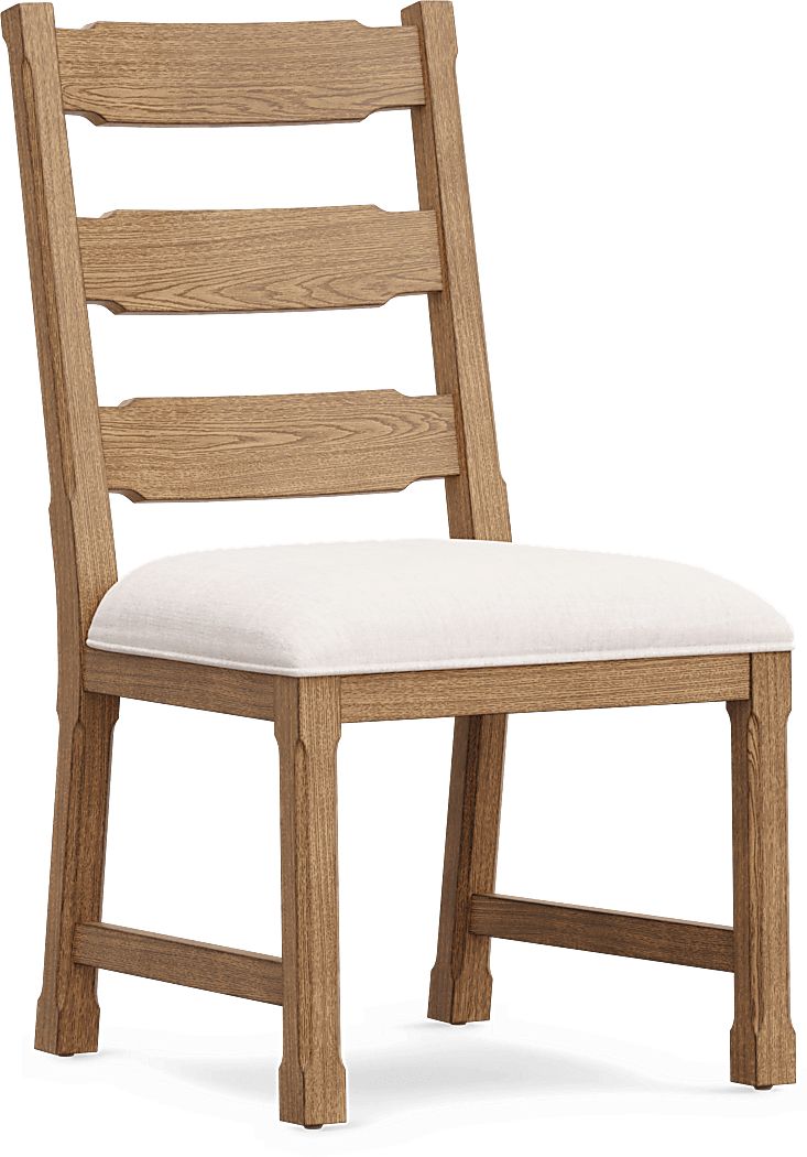 Telluride Brown Side Chair