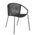 Terela Black Outdoor Arm Chair, Set of 2