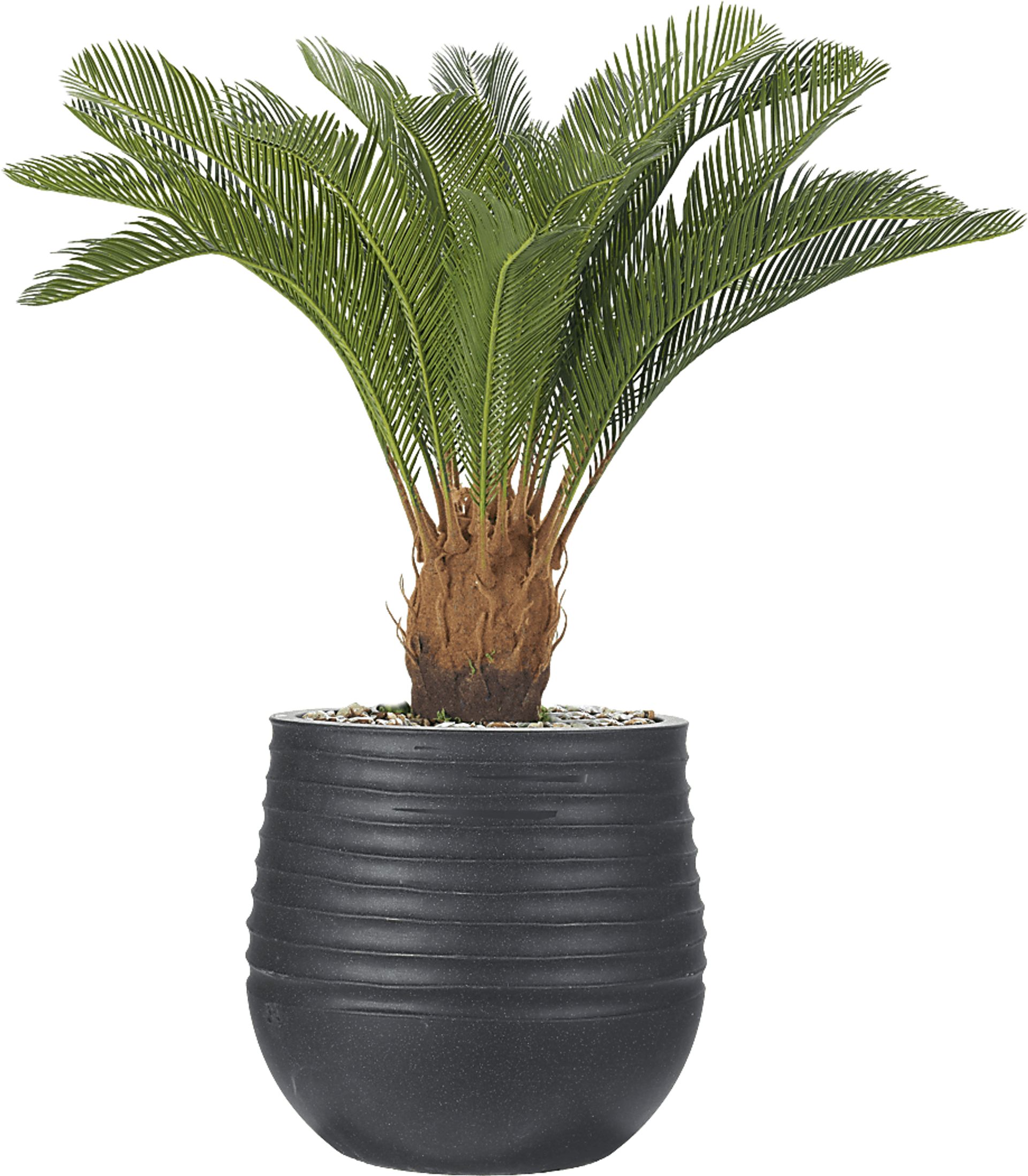 Terralis 38 in. Green UV Artificial Palm Plant in Black Planter - Image 1
