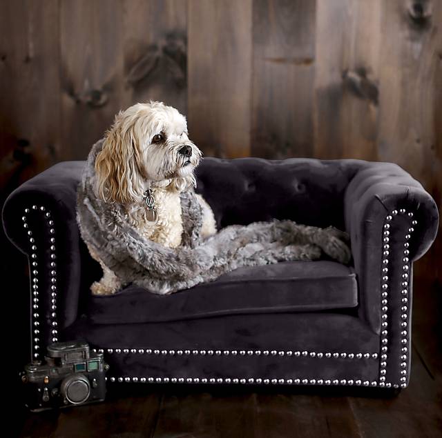 Terrier Gray Pet Bed - Thumbnail - Image 2