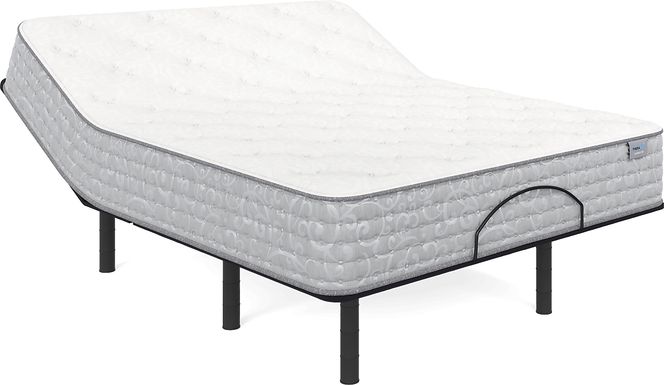 Therapedic Carrolton Queen Mattress with Head Up Only Base