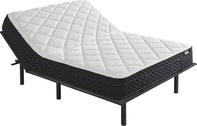 Therapedic Davenport Queen Mattress with Head Up Only Base - Thumbnail - Image 1