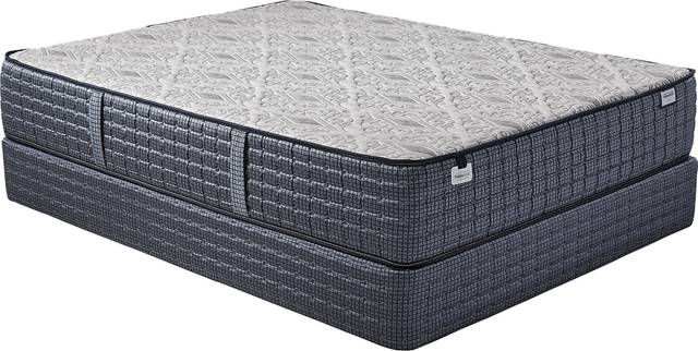 Therapedic Leeds Queen Mattress Set - Thumbnail - Image 1