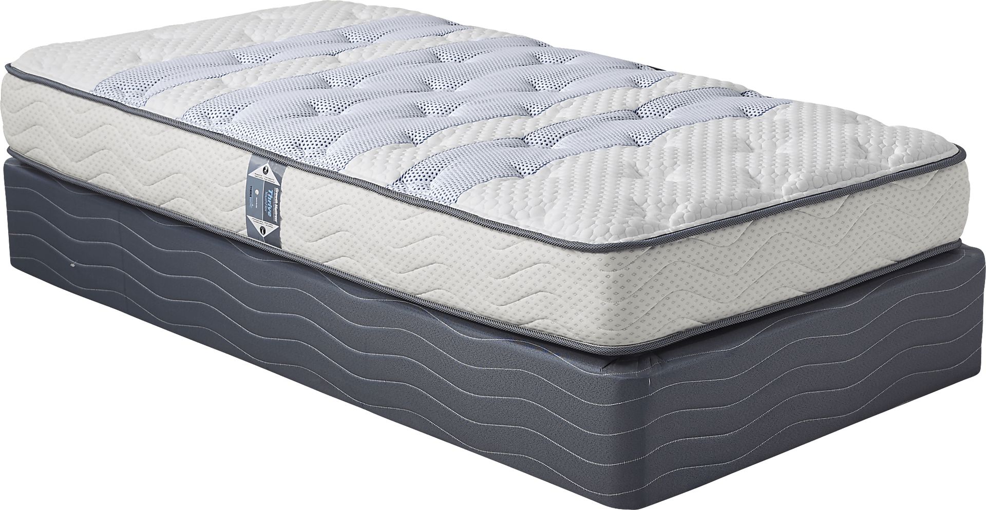 Therapedic YouthFlex Thrive Low Profile Twin Mattress Set - Image 1