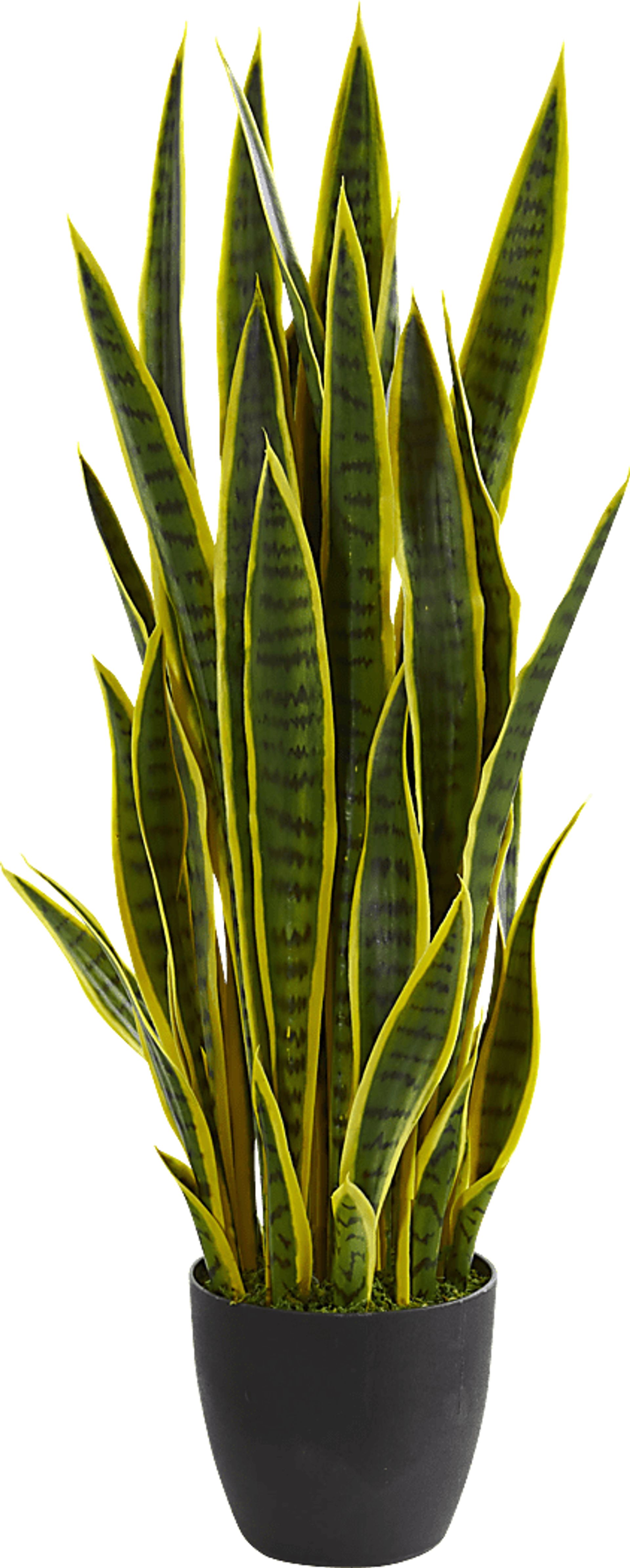 Tiesha Green Sansevieria Silk Plant - Image 1