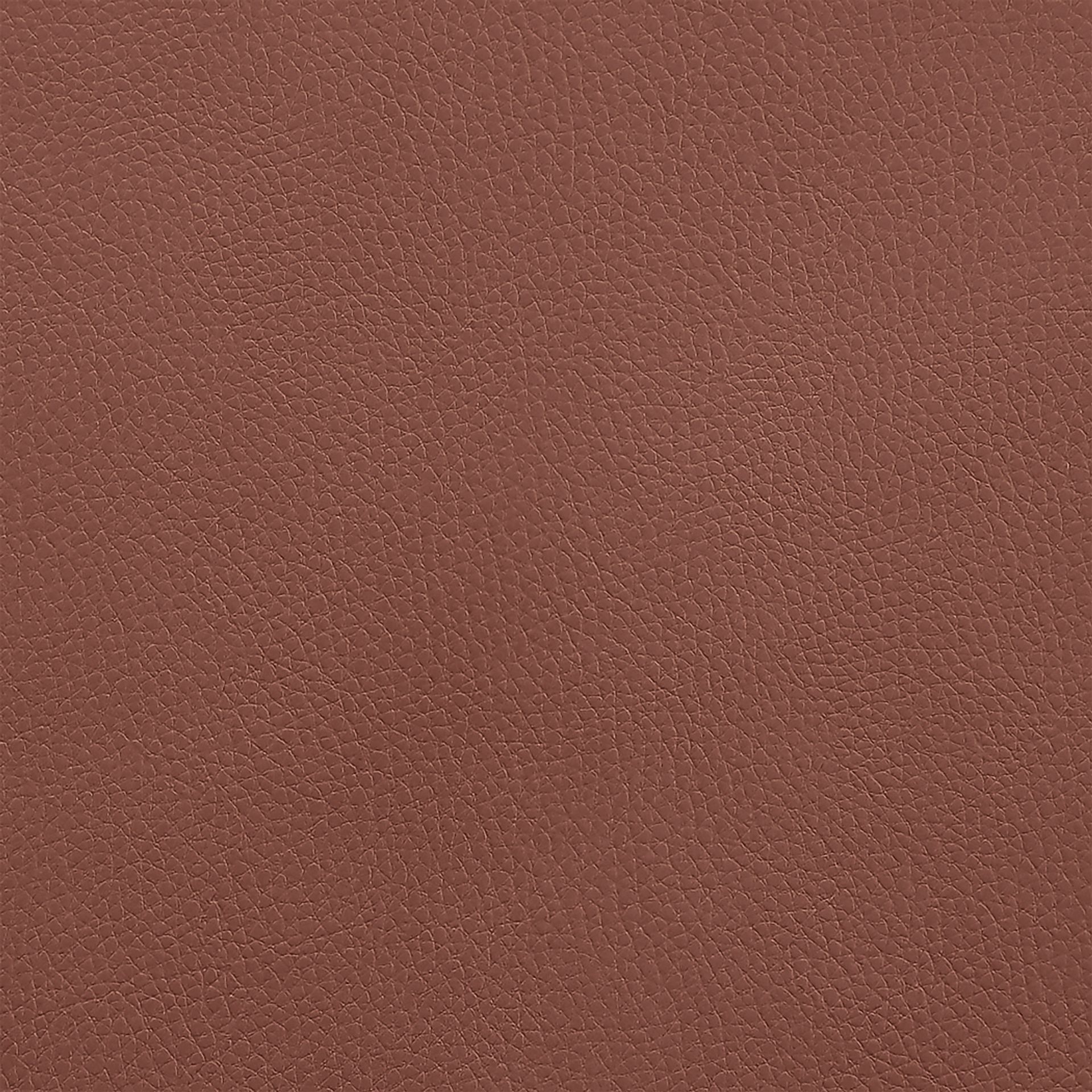 Tigressy I Brown Barstool - Image 10