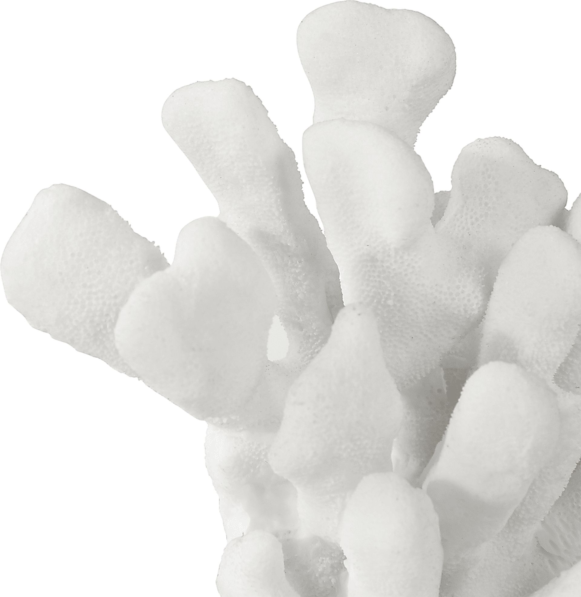 Toliver White Bookend, Set of 2 - Image 2