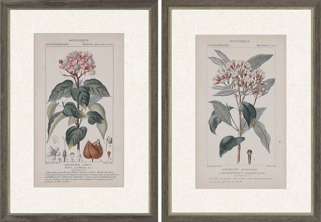 Traditional Botanique I Set of 2 Artwork - Thumbnail - Image 1