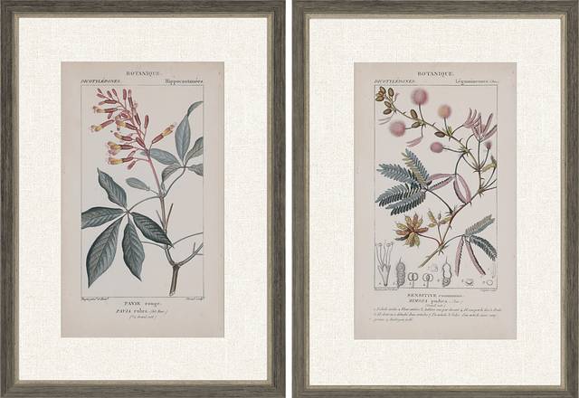 Traditional Botanique II Set of 2 Artwork - Thumbnail - Image 1