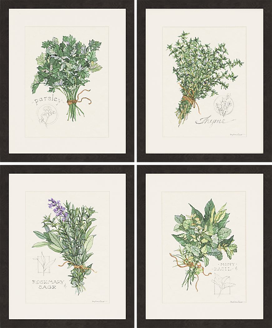 Traditional Herbs Artwork, Set of 4
