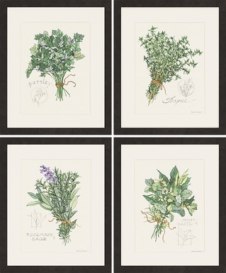Traditional Herbs Set of 4 Artwork