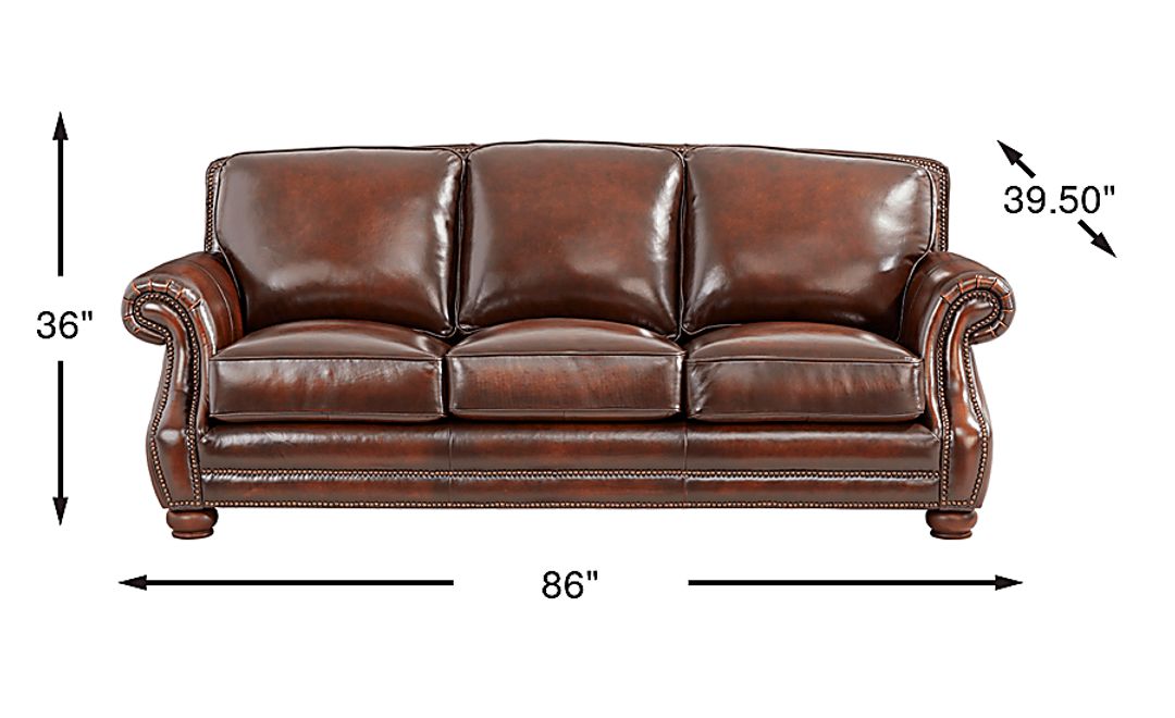 Trevaro Leather Premium Sleeper Sofa
