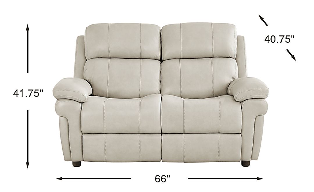 Trevino Lane Leather Stationary Loveseat