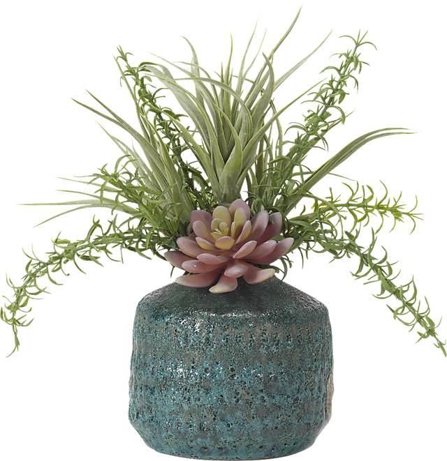 Tristyn Green Tillandsia Silk Plant - Thumbnail - Image 1