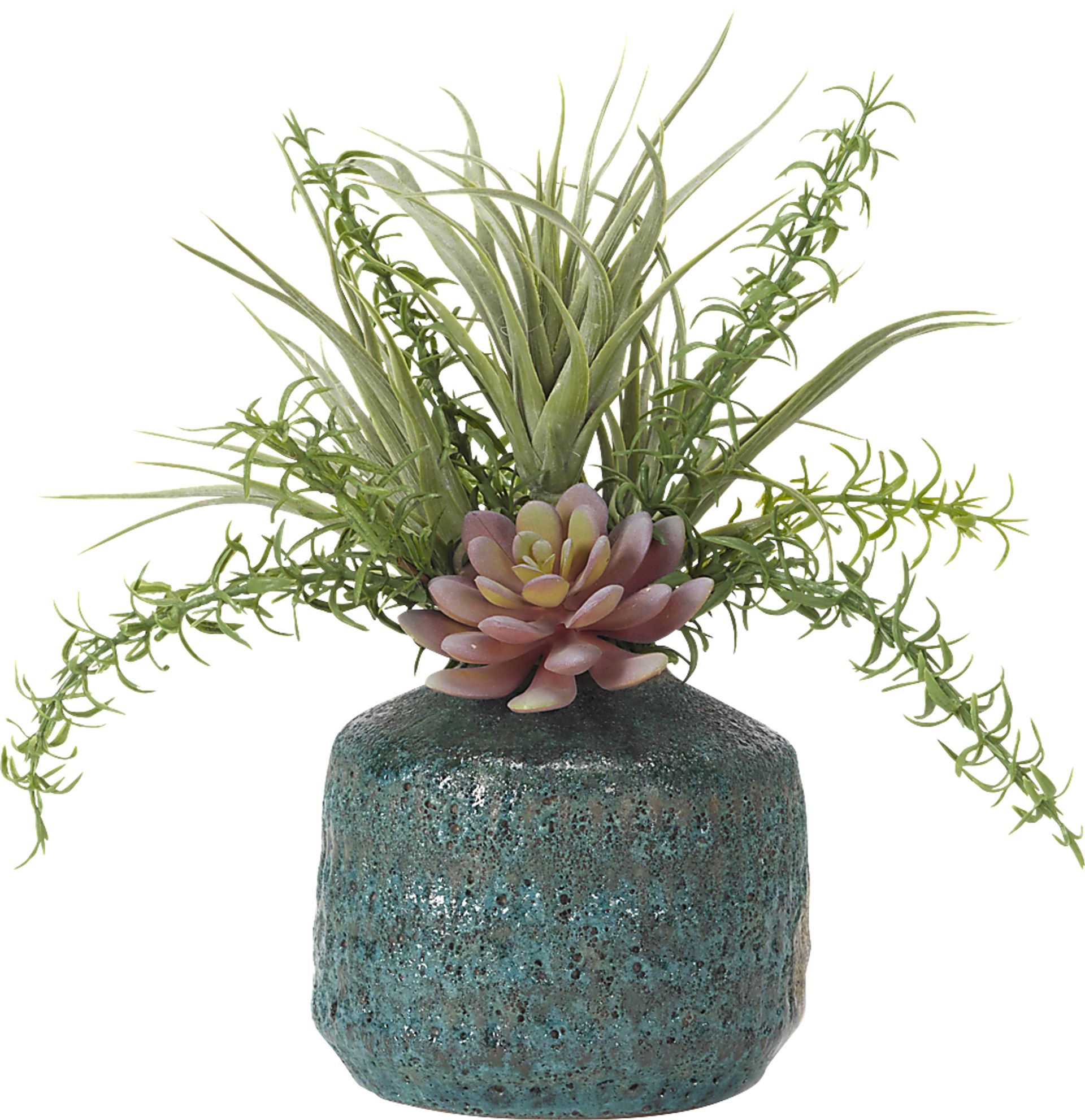 Tristyn Green Tillandsia Silk Plant - Image 1