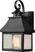 Triton Peak Charcoal Sconce